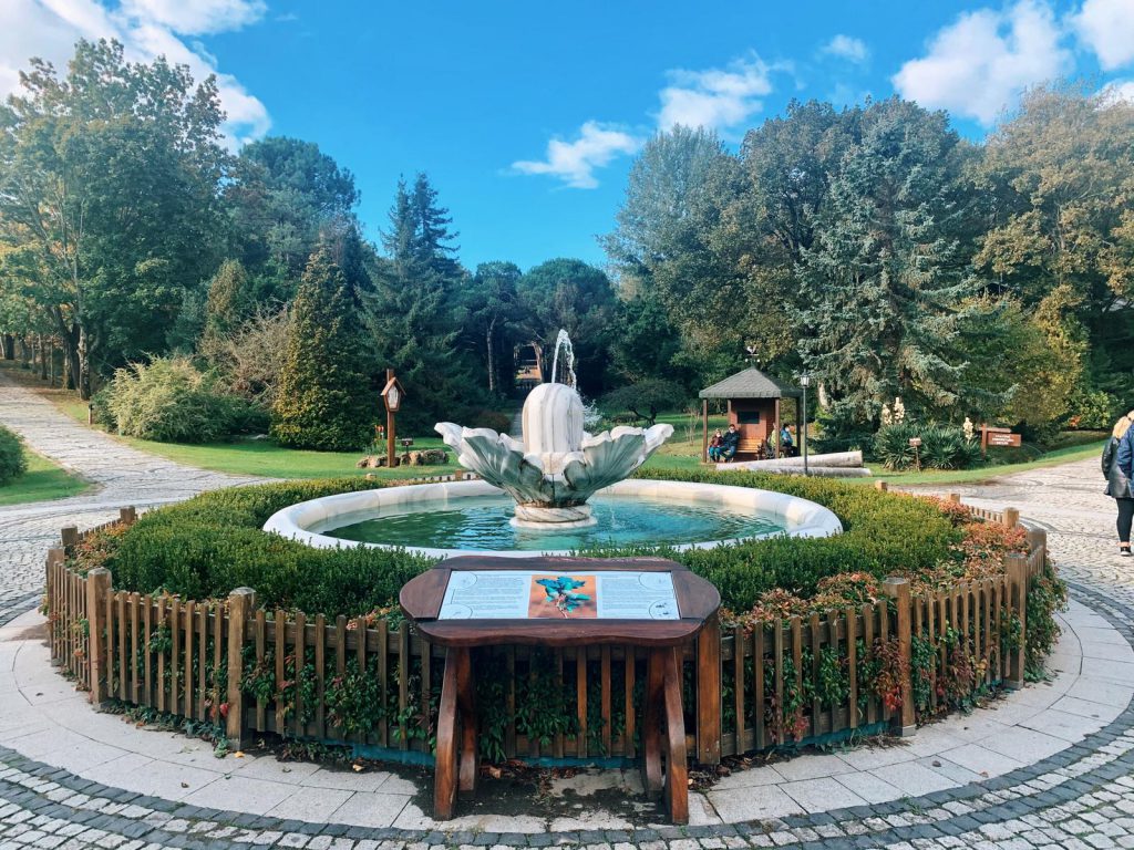İsmiyle Müsemma Atatürk Arboretumu - Arboretumu Hakkında