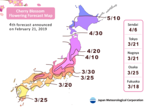 Cenneti Hissetmenin Zamanı; Japonya'da Sakura Mevsimi