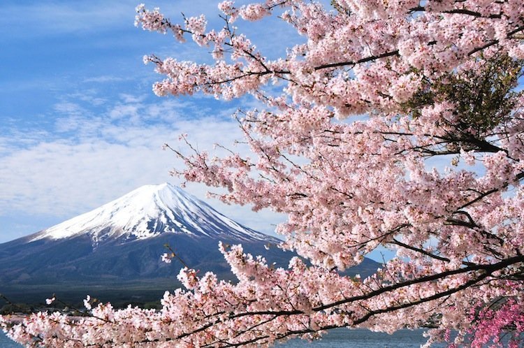 Japonya'da Ulaşım Tavsiyeleri | Hayat Kurtaran 10 Seyahat İpucu