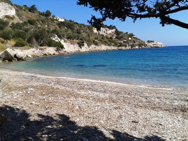 Nergis çiçekleriyle ünlü Karaburun - Karaburun Gezi Rehberi Kaynarpınar - Karaburun Gezi Rehberi