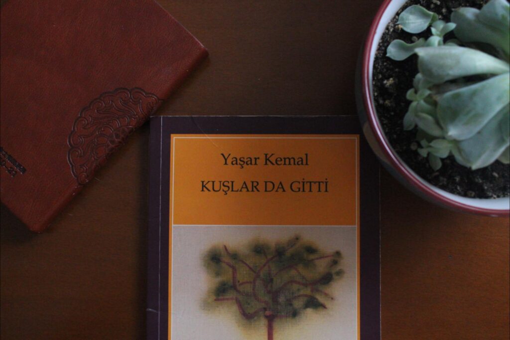 Karantinada Kitap - En Sürükleyici 10 Roman // #evdekal Karantinada Kitap - En Sürükleyici 10 Roman // #evdekal