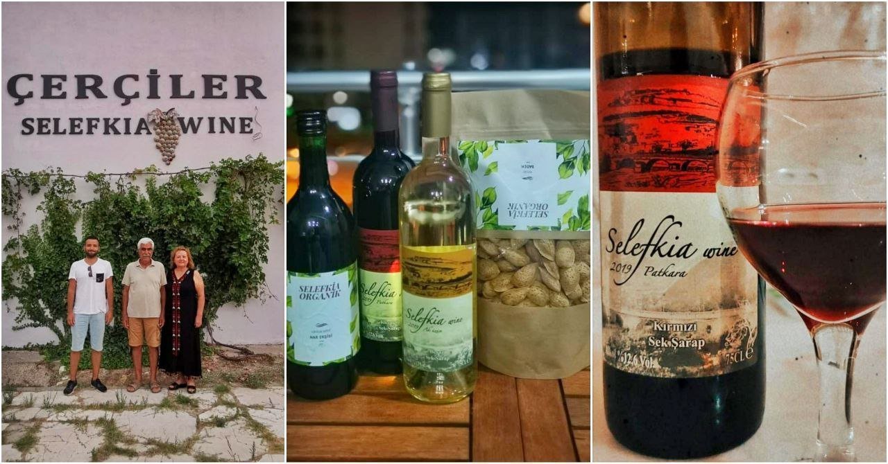 Türkiye'de Şarapçılık - Bölgelere Göre Türkiye Şarap ve Üzüm Rehberi