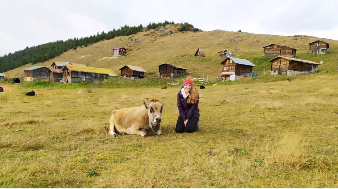 Sal ve Pokut Yaylaları | Rize Yaylaları Gezi Rehberi 1 Sal ve Pokut Yaylaları