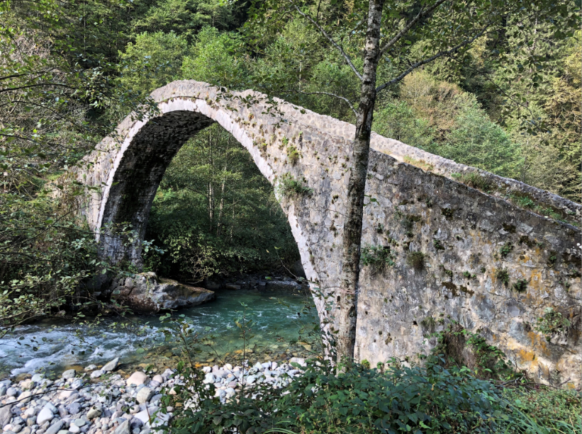 Sal ve Pokut Yaylaları | Rize Yaylaları Gezi Rehberi 1 Sal ve Pokut Yaylaları