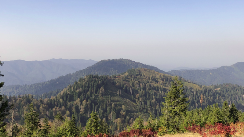 Huser ve Avusor Yaylaları | Rize Yaylaları Gezi Rehberi 4 Huser ve Avusor Yaylaları | Rize Yaylaları Gezi Rehberi 4