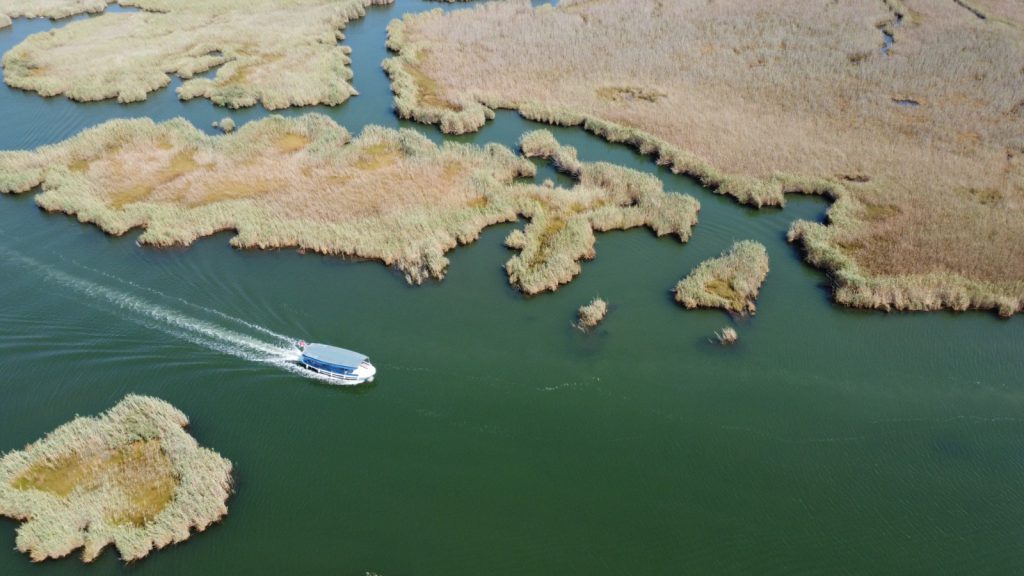 Dalyan Gezi Rehberi | Dalyan'da Görülmesi Gereken 15 Yer Dalyan Sazlıkları - Dalyan Gezi Rehberi