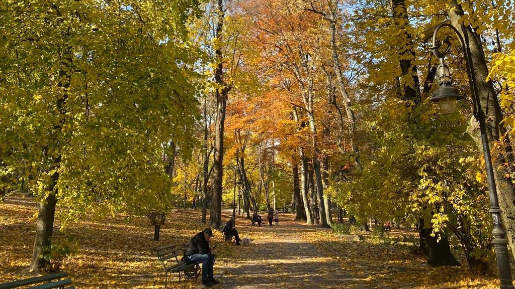 Ivan Franko Park - Lviv Gezi Rehberi