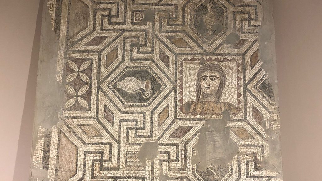 Taban Mozaikleri | Eskişehir Arkeoloji Müzesi