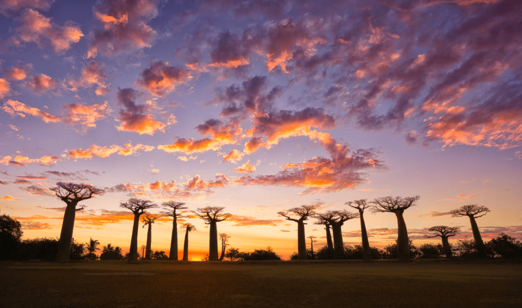 Vizesiz Afrika Ülkeleri - Madagaskar