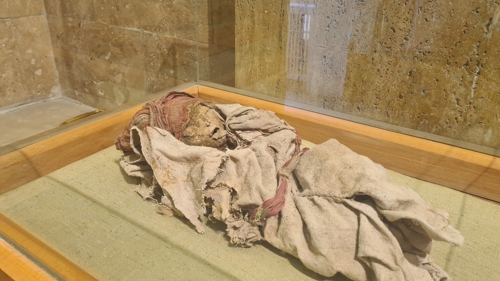 Türkiye'de Mumya Görebileceğiniz Yer | Niğde Müzesi