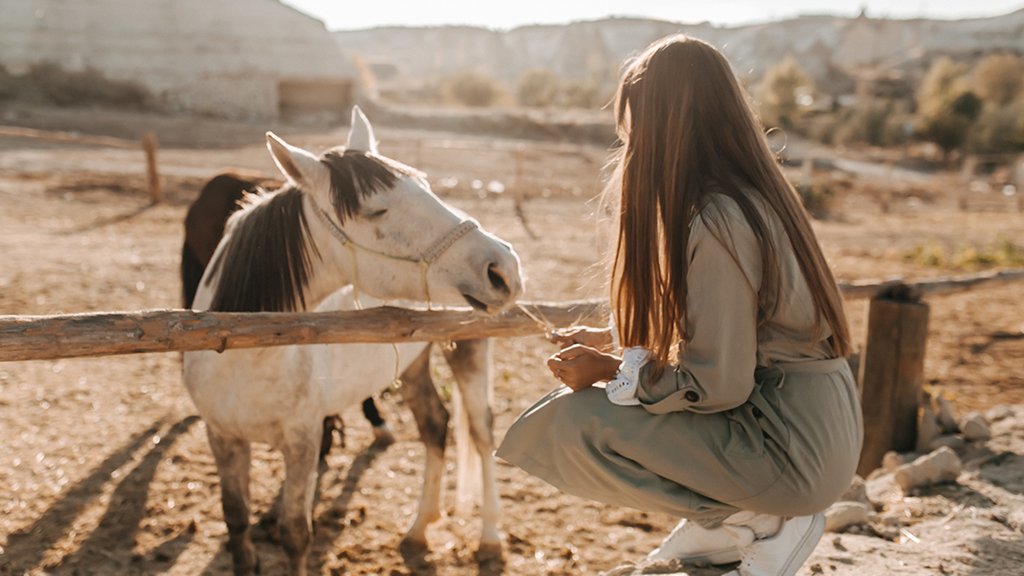 Kapadokya’da Yapılacak Etkinlikler - Atlar