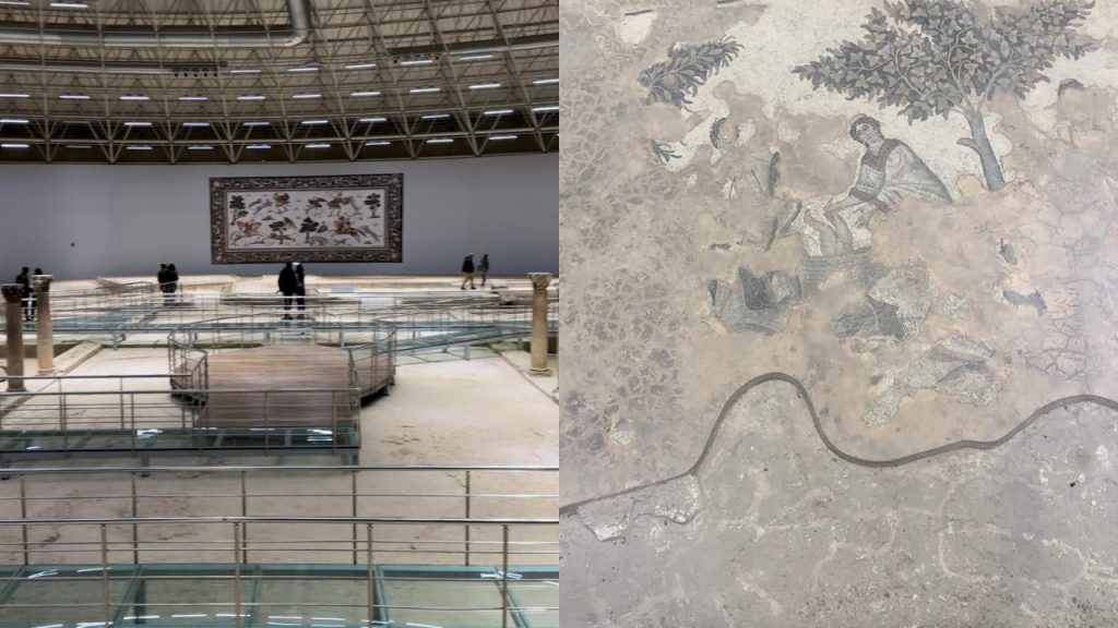 Şanlıurfa Haleplibahçe Mozaik Müzesi | Mezopotamya Müzeleri 