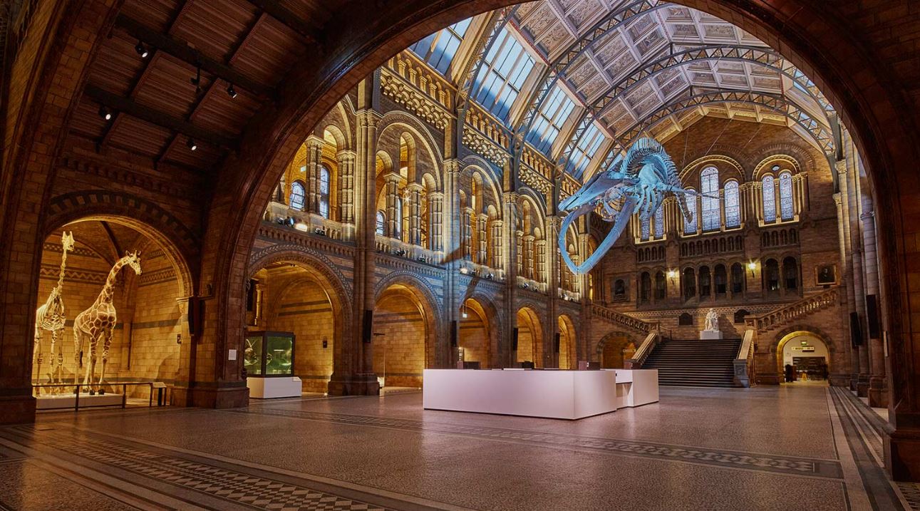 Londra'da Ücretsiz Yapılacaklar Listesi - Favorim Natural History Museum