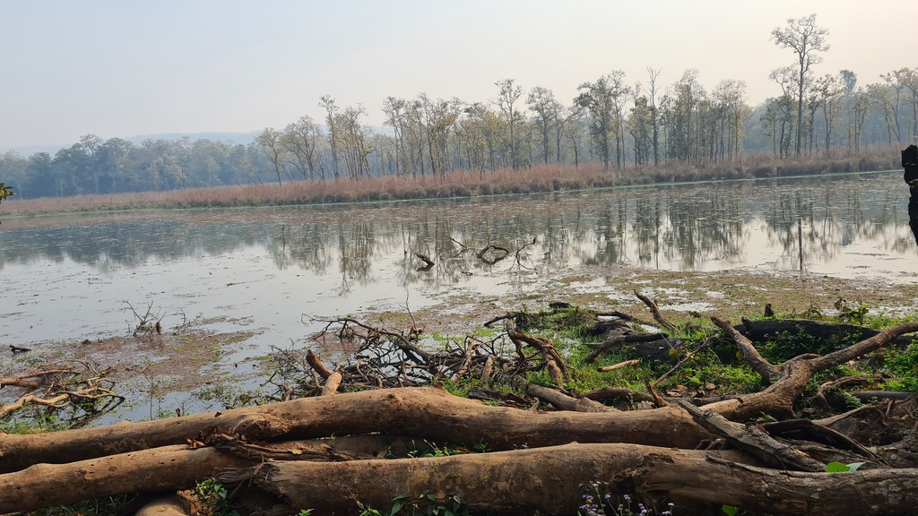 Chitwan Ulusal Parkı - Nepal'e Gitmek için 5 Neden