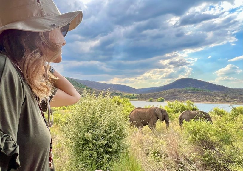 Pilanesberg'de Safari | Güney Afrika'da Vahşi Hayata Sefer