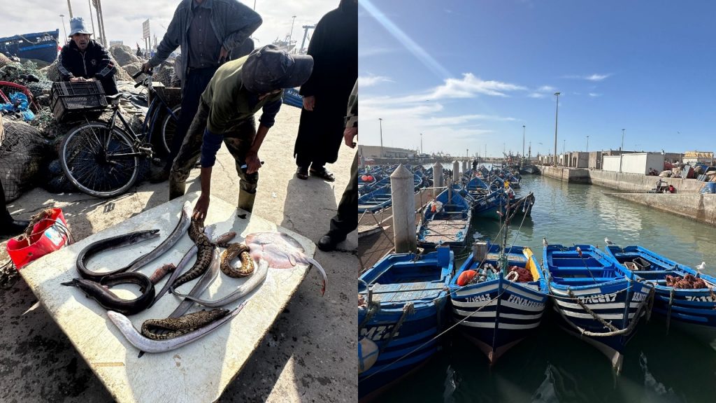 Essaouira Gezi Rehberi - Balıkçı Limanı
