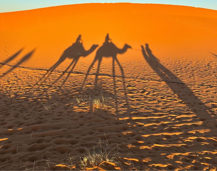 Sahra Çölü’nde Safari | Safariye Gitmeden Önce Bilmeniz Gerekenler