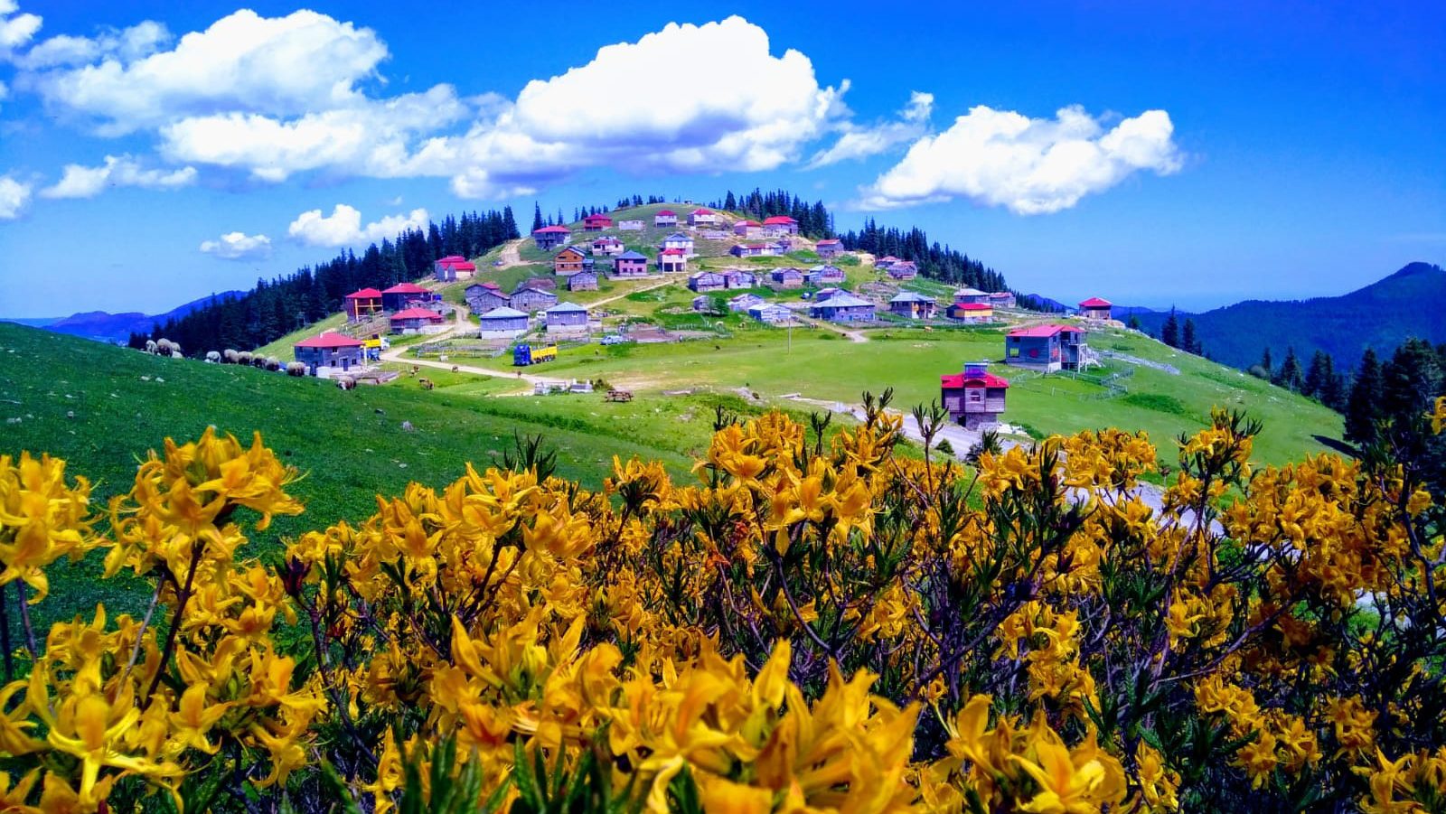 Oba ESC Yürüyüş ve Doğa Rehberi ile ilgili görsel