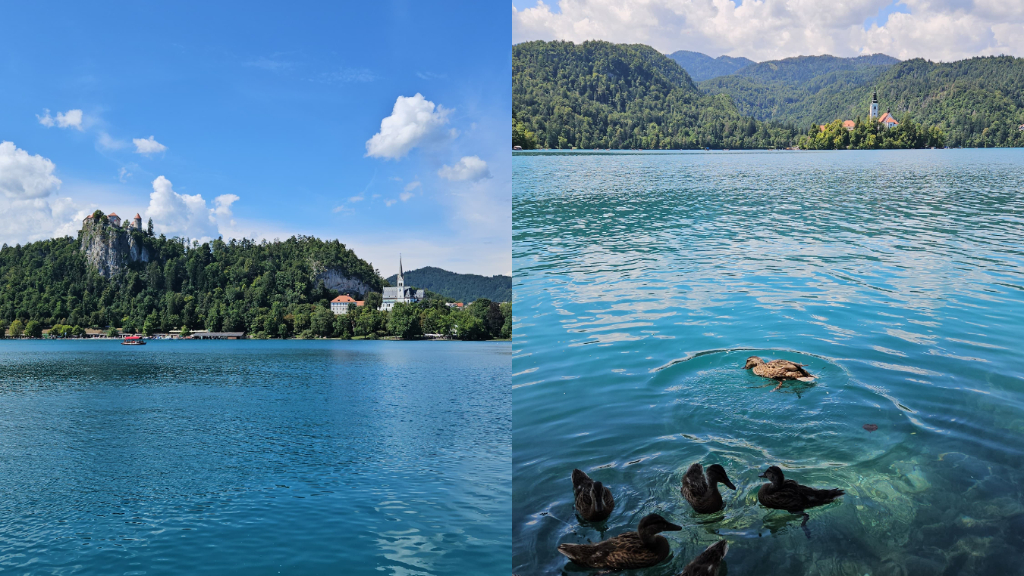 Slovenya Gezi Rehberi - Bled